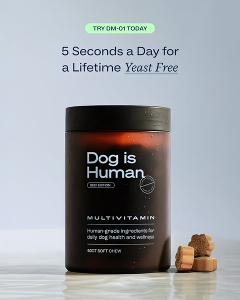 A clean, studio-lit shot of a Dog is Human multivitamin jar with its corresponding soft chews placed in the foreground.